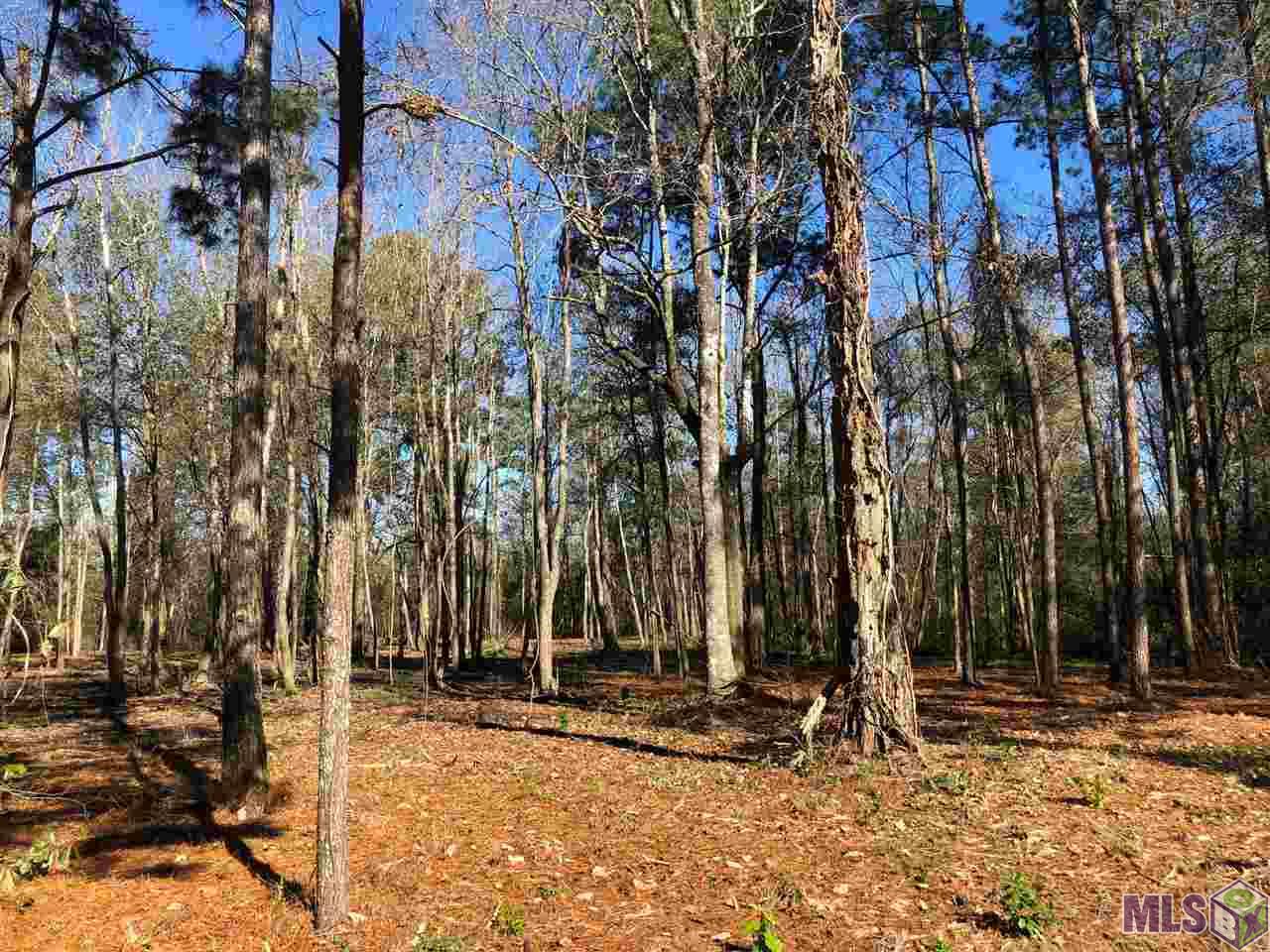 3 A George Watts Road Livingston, LA 70754 - Photo 1 of 3 Gallery Image 1