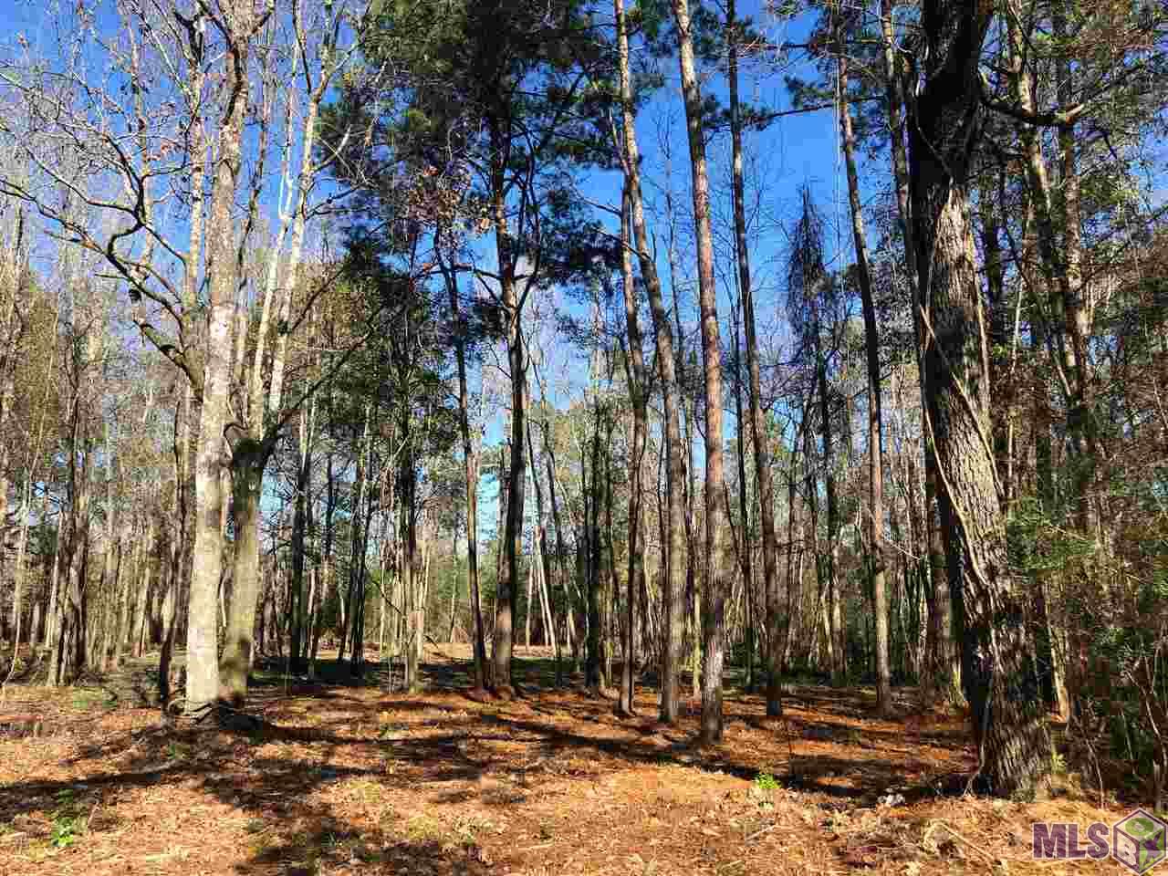 3 A George Watts Road Livingston, LA 70754 - Photo 3 of 3 Gallery Image 3