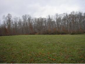 219 Glendale Road, Unit 5 Limestone, TN 37681 - Photo 3 of 9 Photo 3