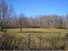 219 Glendale Road, Unit 5 Limestone, TN 37681 - Photo 7 of 9 Photo 7