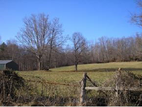219 Glendale Road, Unit 5 Limestone, TN 37681 - Photo 8 of 9 Photo 8