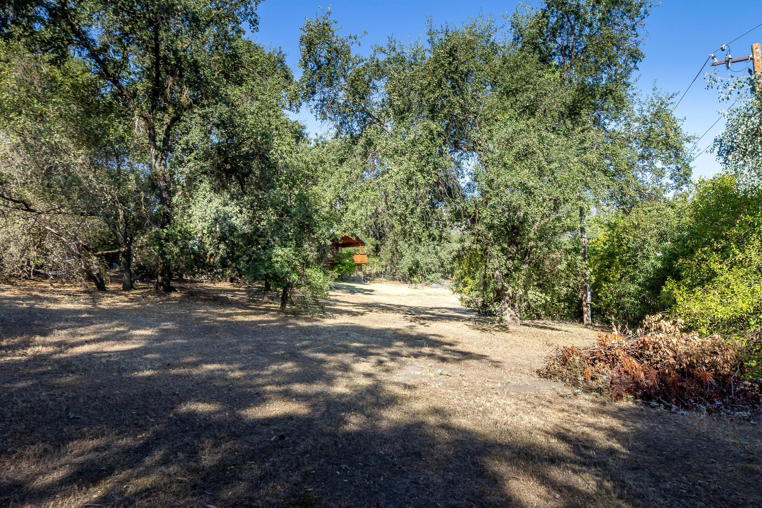 42854 Sierra Drive Three Rivers, CA 93271 - Photo 42 of 42 -