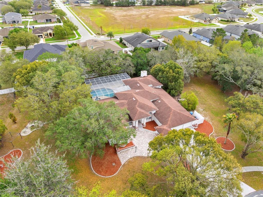 348 Florian Way Spring Hill, FL 34609 - Photo 16 of 54