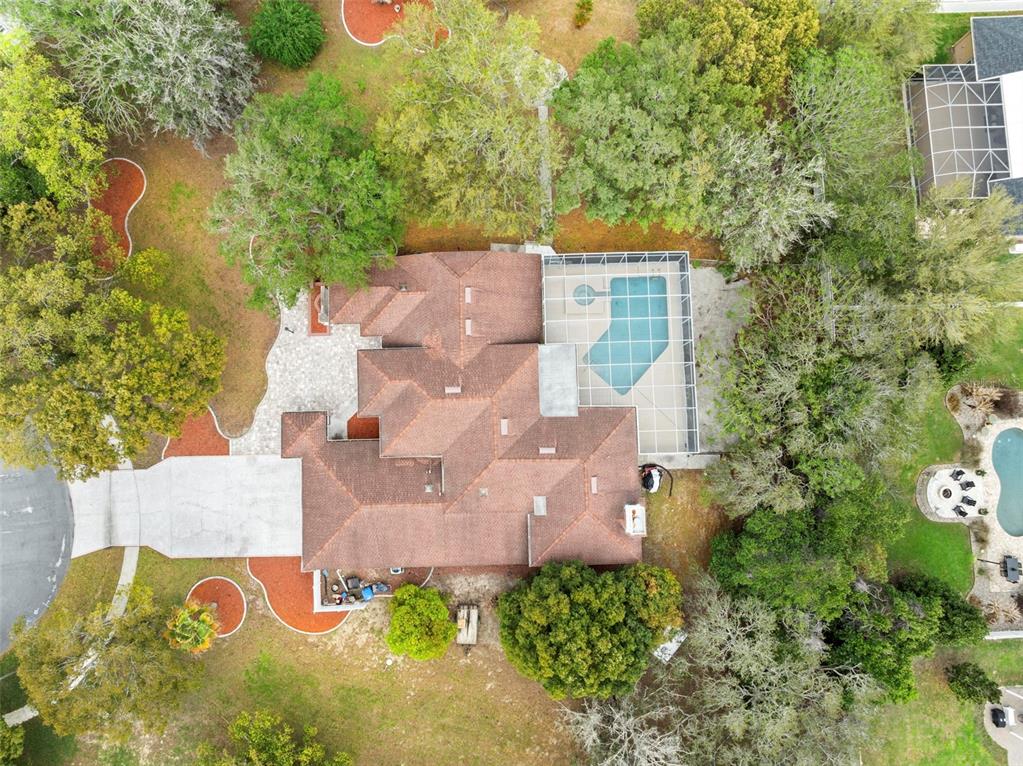 348 Florian Way Spring Hill, FL 34609 - Photo 21 of 54