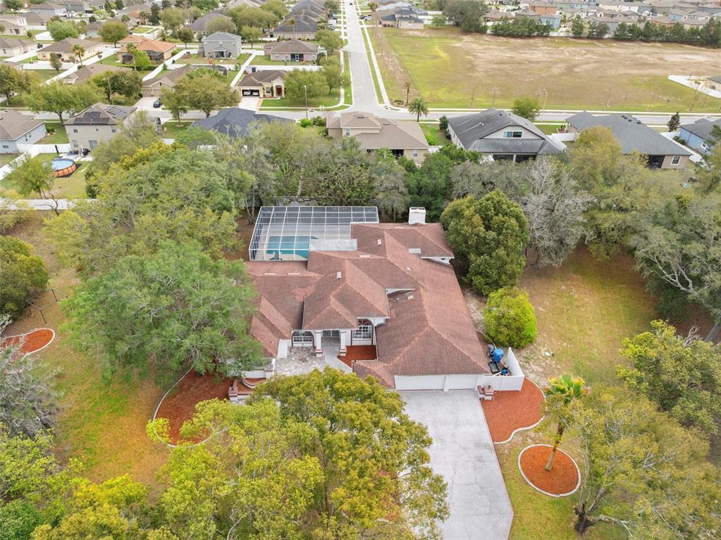 348 Florian Way Spring Hill, FL 34609 - Photo 35 of 54