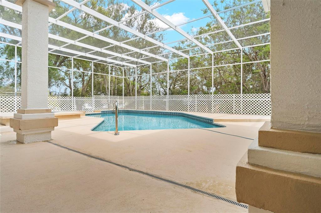 348 Florian Way Spring Hill, FL 34609 - Photo 42 of 54