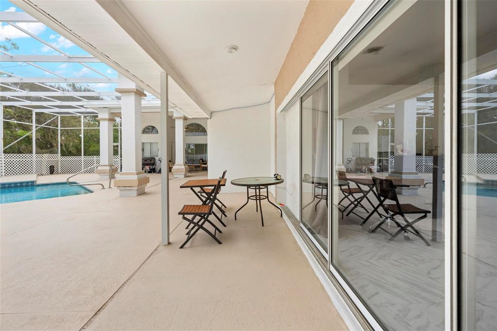 348 Florian Way Spring Hill, FL 34609 - Photo 47 of 54