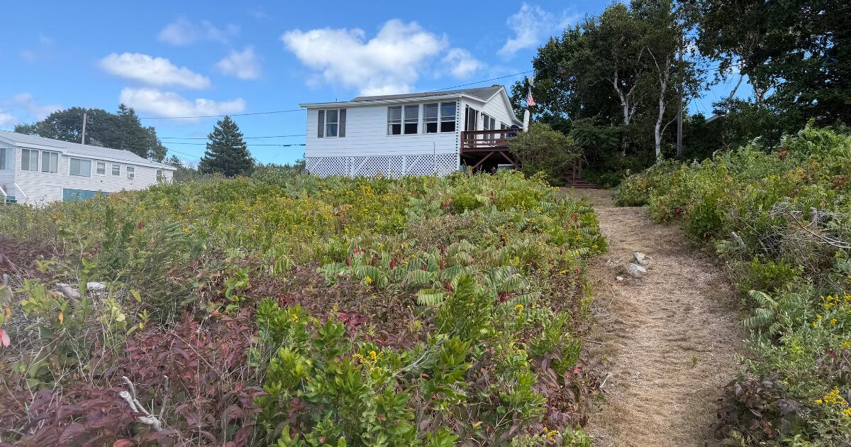 3 Abs Drive Phippsburg, ME 04562 - Photo 5 of 22 Back of house