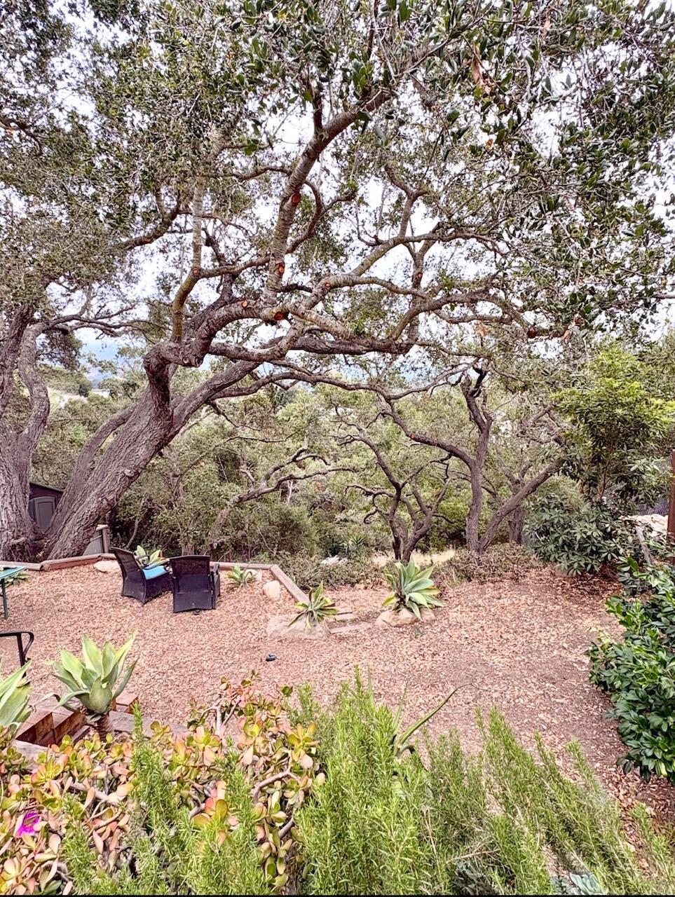 438 1/2 El Sueno Road Santa Barbara, CA 93110 - Photo 6 of 8 4388