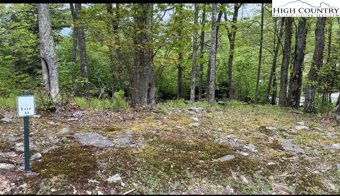 Lot 11 Sunset Ridge Drive Boone, NC 28607 - Photo 1 of 6 a big yard with lots of green space and plants