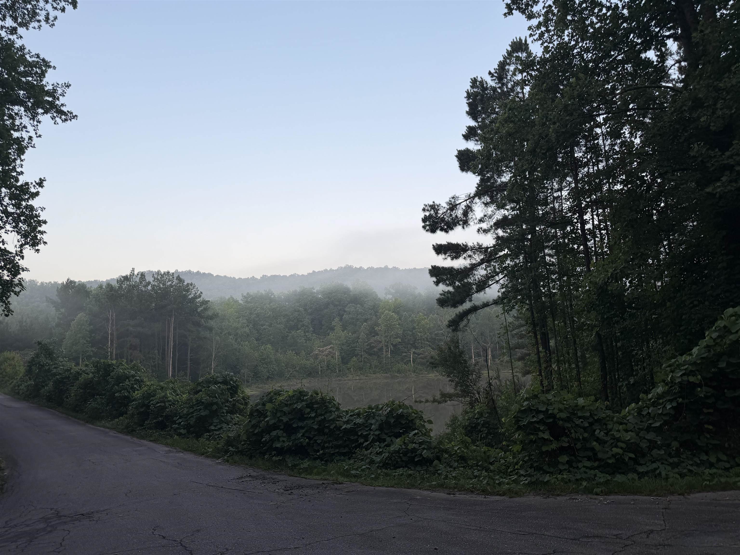 105 Right Fork Road Pickens, SC 29671 - Photo 11 of 12
