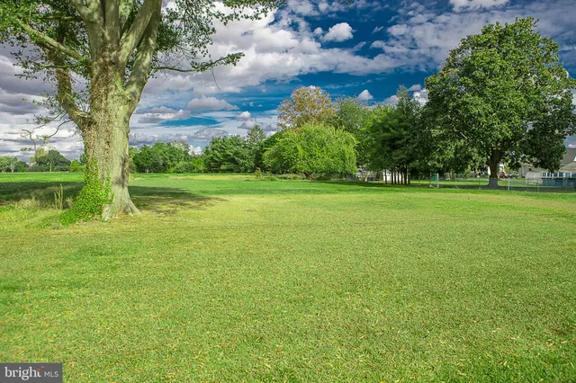 a view of a field with a tree in the background