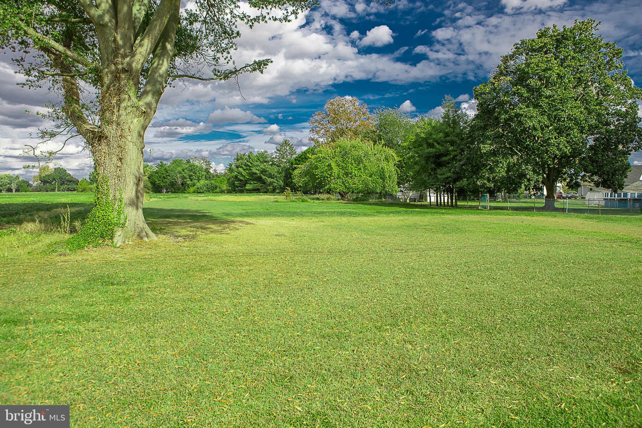 a view of a field with a tree in the background