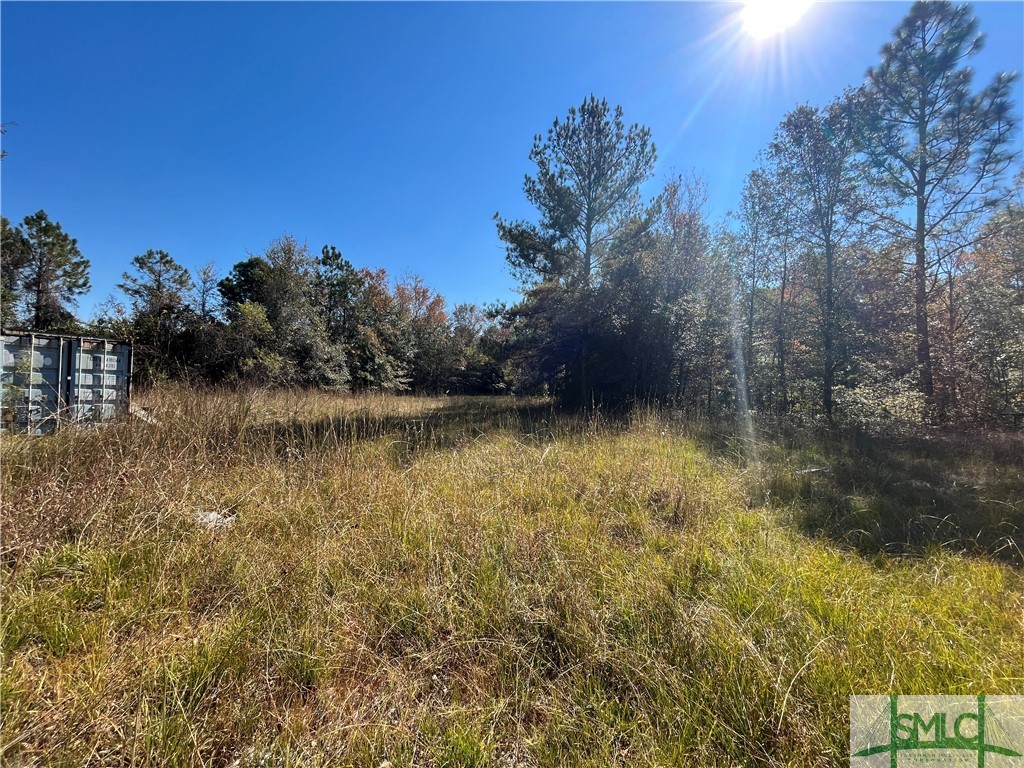 0 Jim Futch Road Pembroke, GA 31321 - Photo 2 of 5