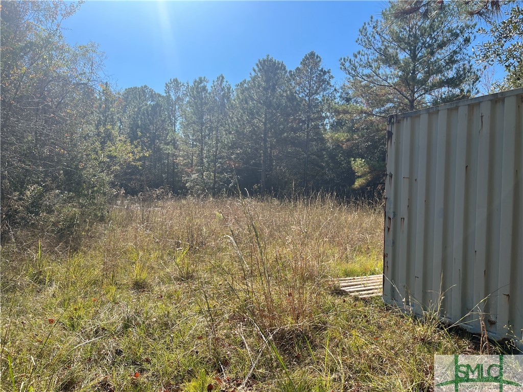 0 Jim Futch Road Pembroke, GA 31321 - Photo 3 of 5