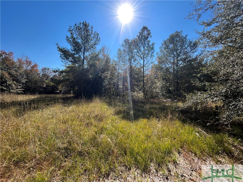 0 Jim Futch Road Pembroke, GA 31321 - Photo 4 of 5