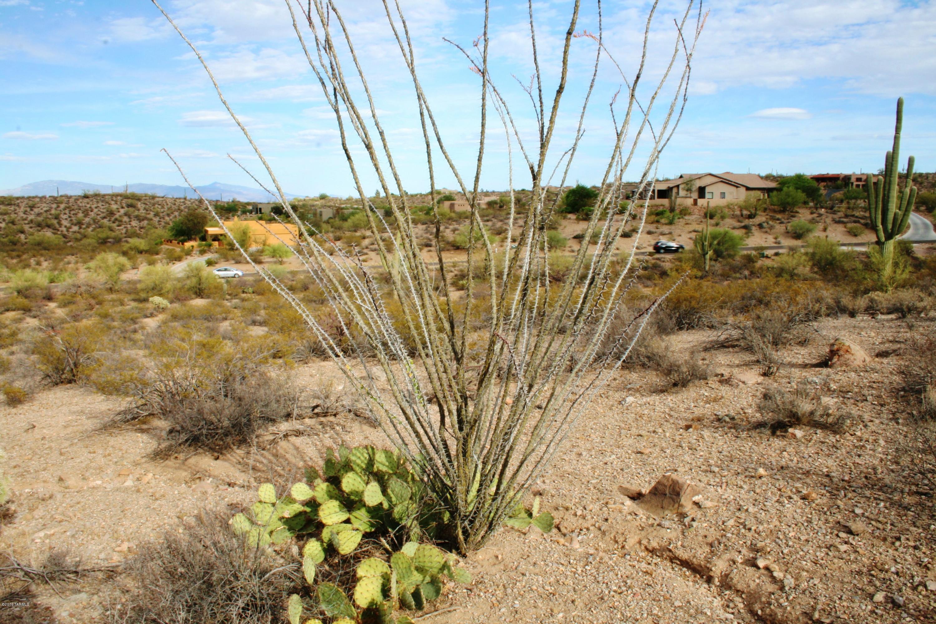 6075 North Abington Road, Unit LOT 4 Tucson, AZ 85743 - Photo 24 of 31