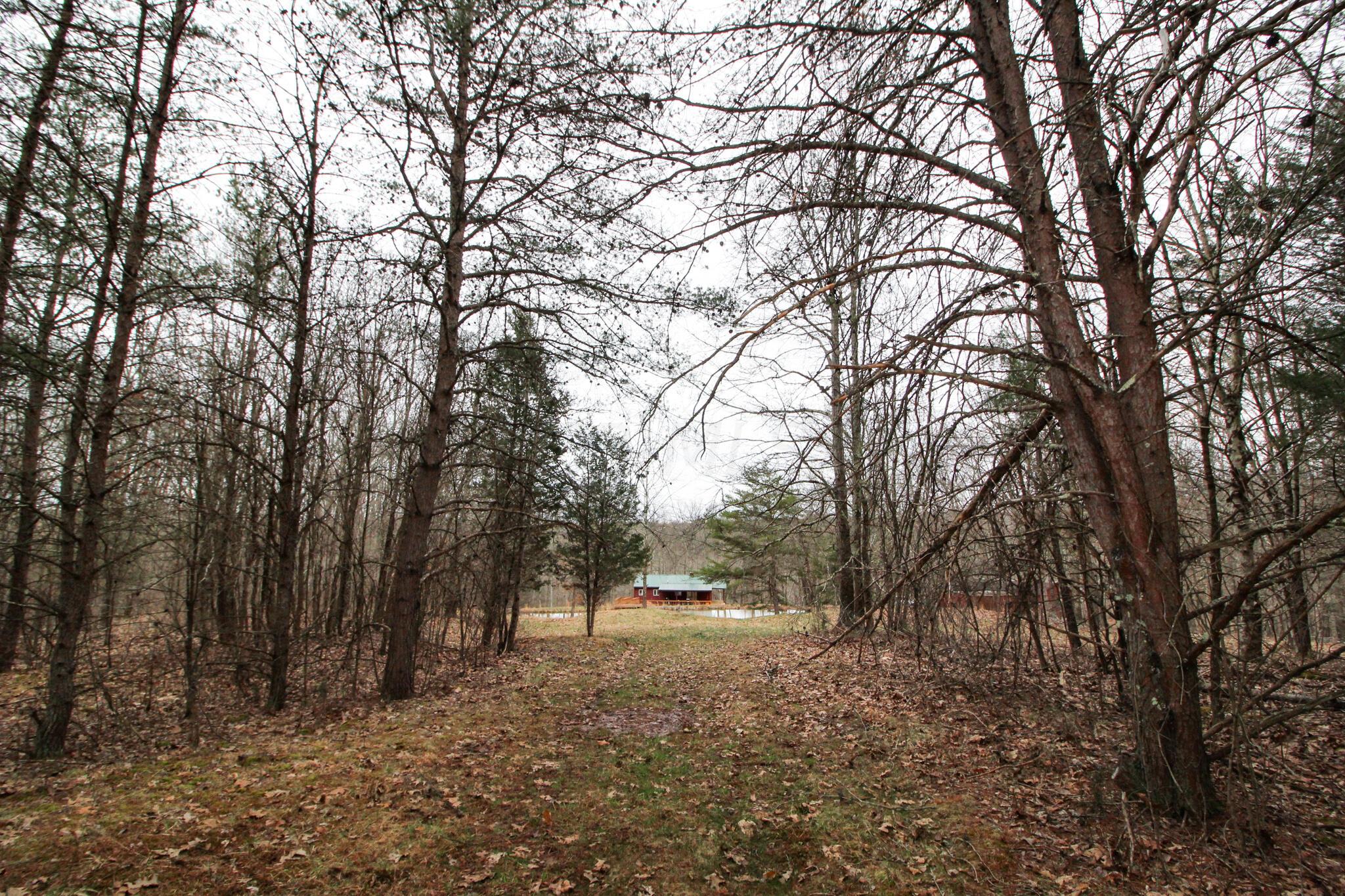 14630 Robinson Road Amesville, OH 45711 - Photo 15 of 39 IMG_3990