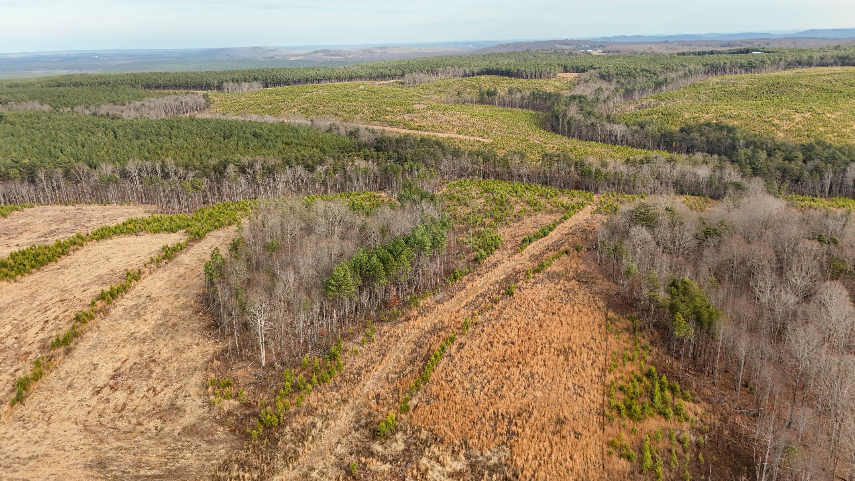 0 State Rt 399 Dunlap, TN 37327 - Photo 5 of 14 Longview-3