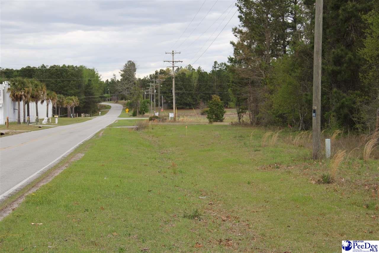 0 Hartsville-Ruby Road Patrick, SC 29584 - Photo 4 of 4 Gallery Image 4