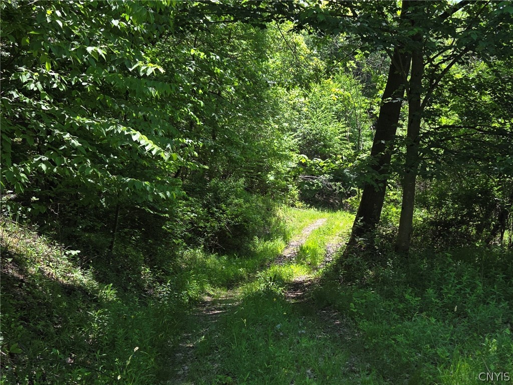 Lillibridge Road Olean, NY 14760 - Photo 43 of 48
