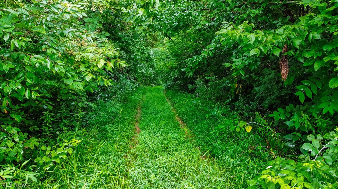 Ogles Ridge Road Dexter City, OH 45727 - Photo 41 of 48