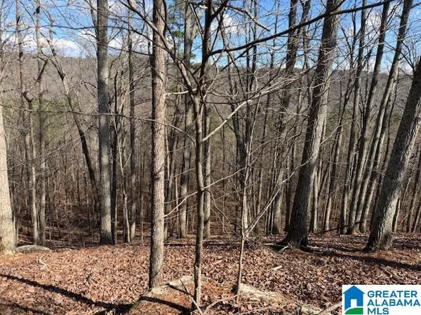 $349,000 | 80 Snow Drive, Guntersville, AL 35976