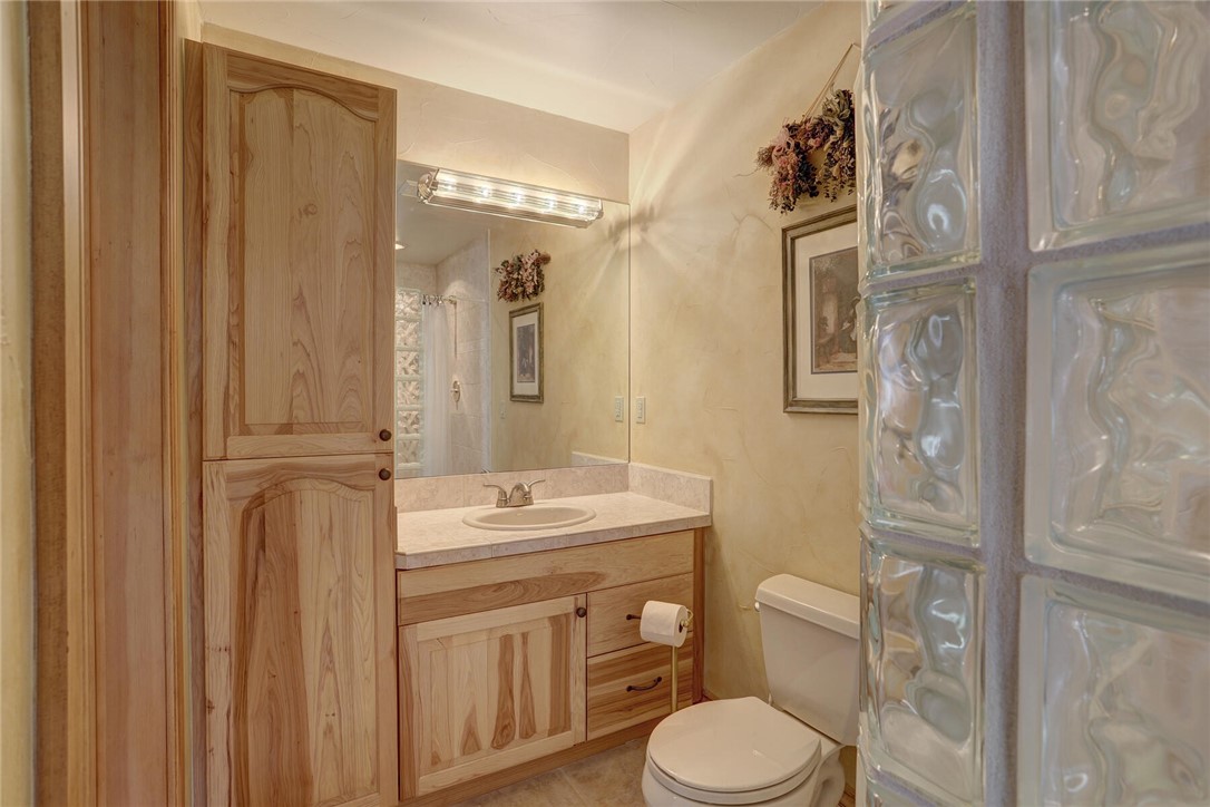 137 Rasor Drive Keystone, CO 80435 - Photo 16 of 35 a bathroom with a sink a toilet and shower