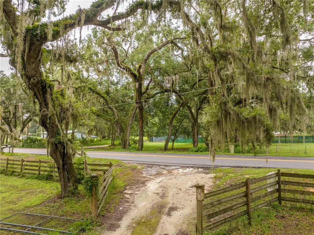 36720 Emeralda Island Road Leesburg, FL 34788 - Photo 2 of 43 a view of a yard with basketball court