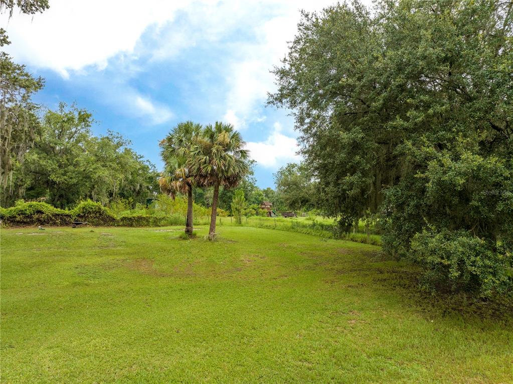 36720 Emeralda Island Road Leesburg, FL 34788 - Photo 34 of 43 a view of an outdoor space and yard