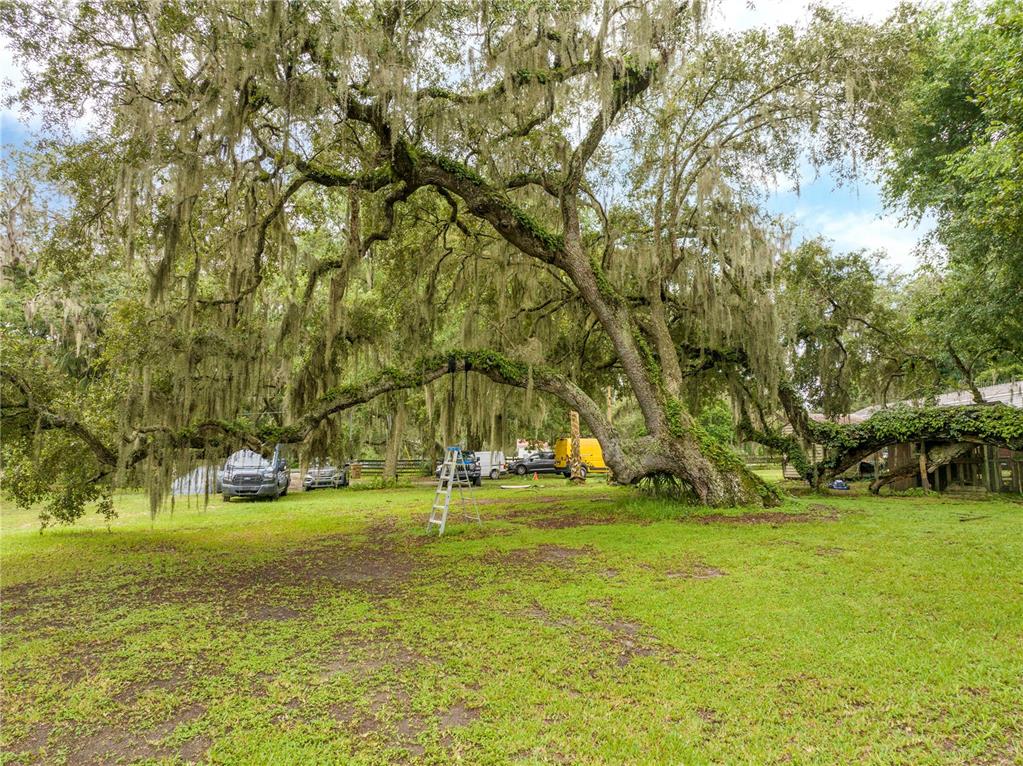 36720 Emeralda Island Road Leesburg, FL 34788 - Photo 37 of 43 a view of a golf course