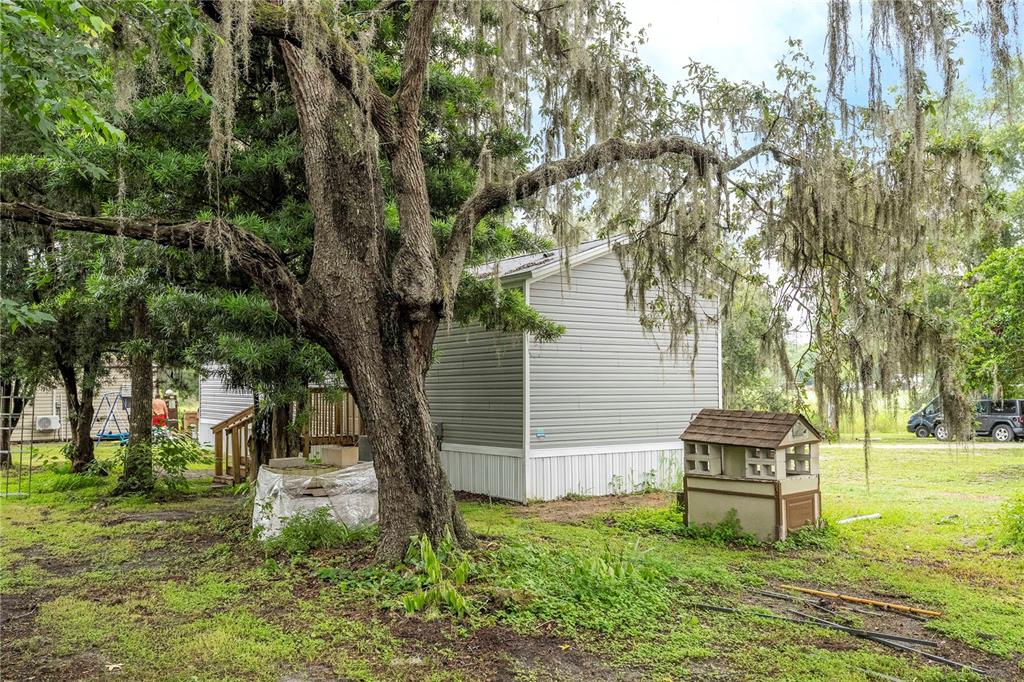 36720 Emeralda Island Road Leesburg, FL 34788 - Photo 39 of 43 a white house in middle of the forest