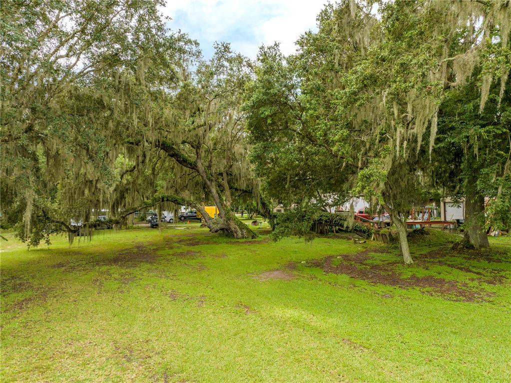 36720 Emeralda Island Road Leesburg, FL 34788 - Photo 10 of 43 a view of yard with swimming pool and trees
