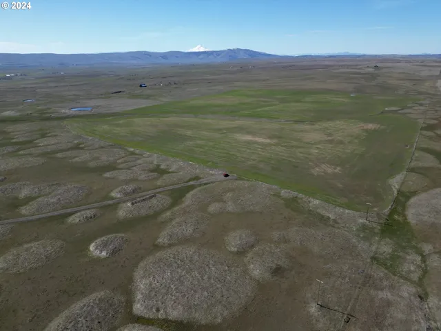 a view of a field with an ocean view