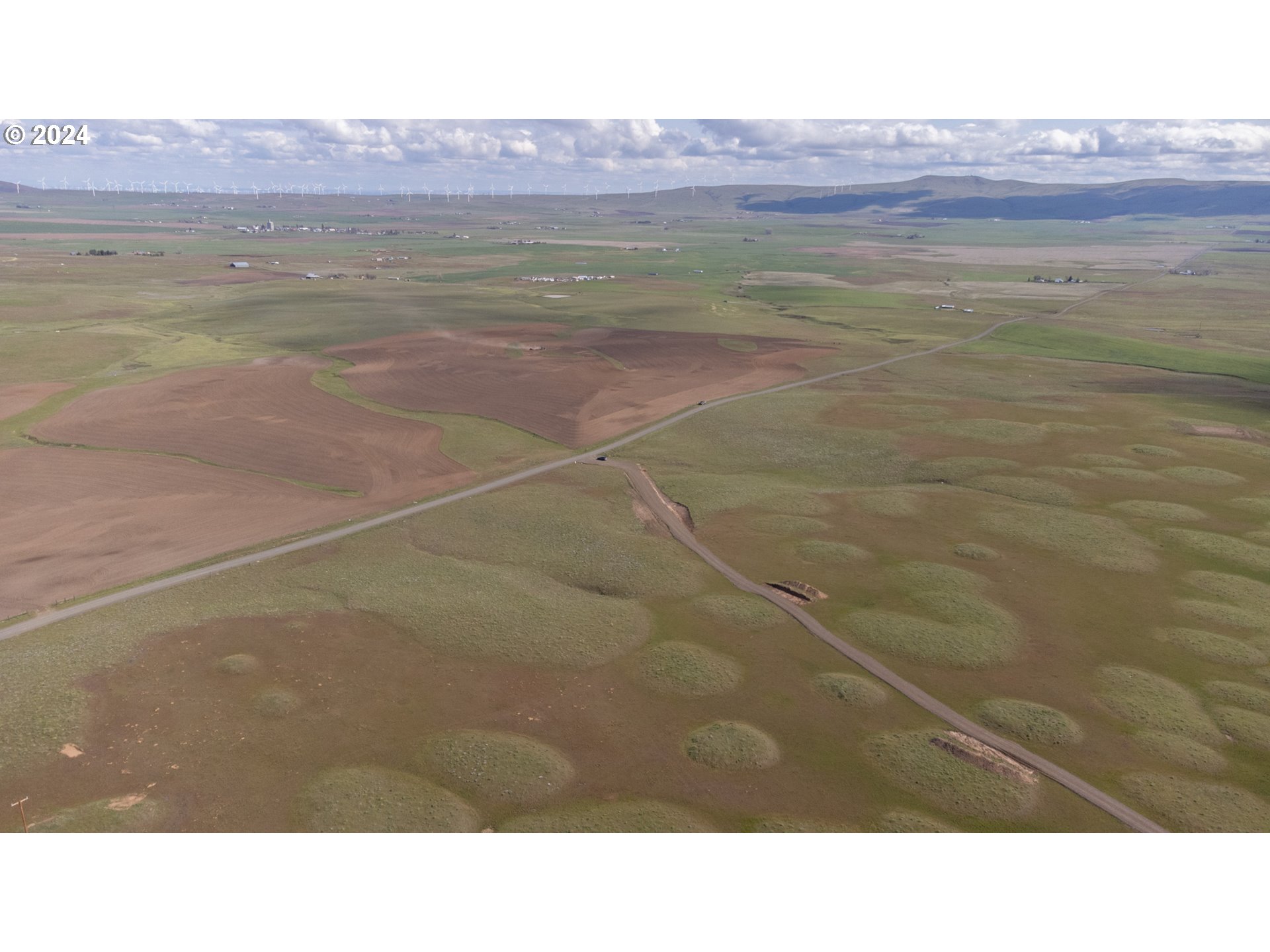345 Erickson Road Centerville, WA 98613 - Photo 14 of 29 a black and white photo of a room