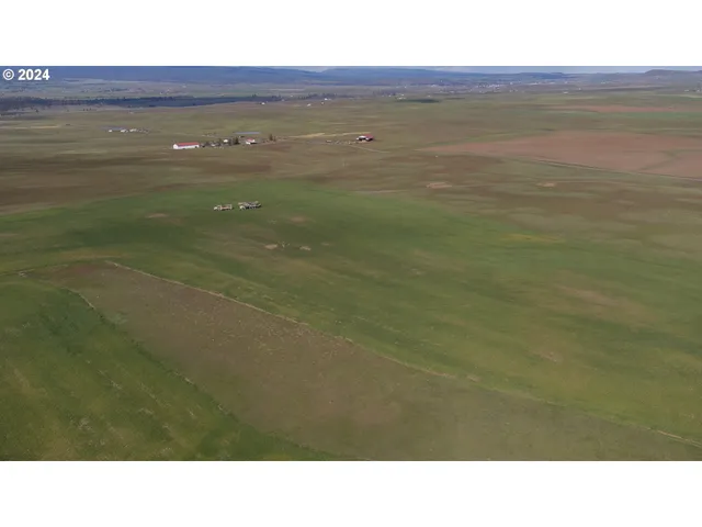 a black and white photo of a house