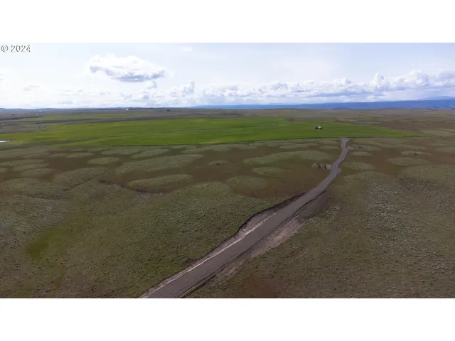 a black and white photo of a lake