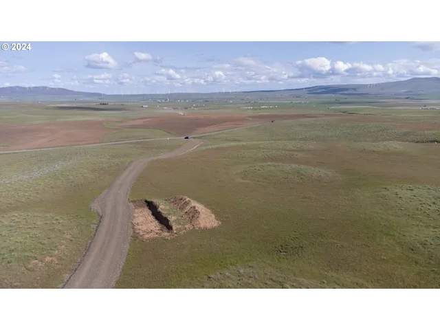 a black and white photo of a lake