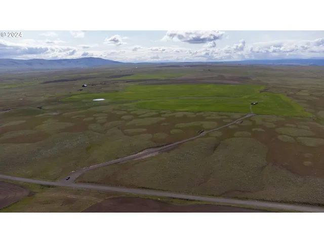 a black and white photo of a lake