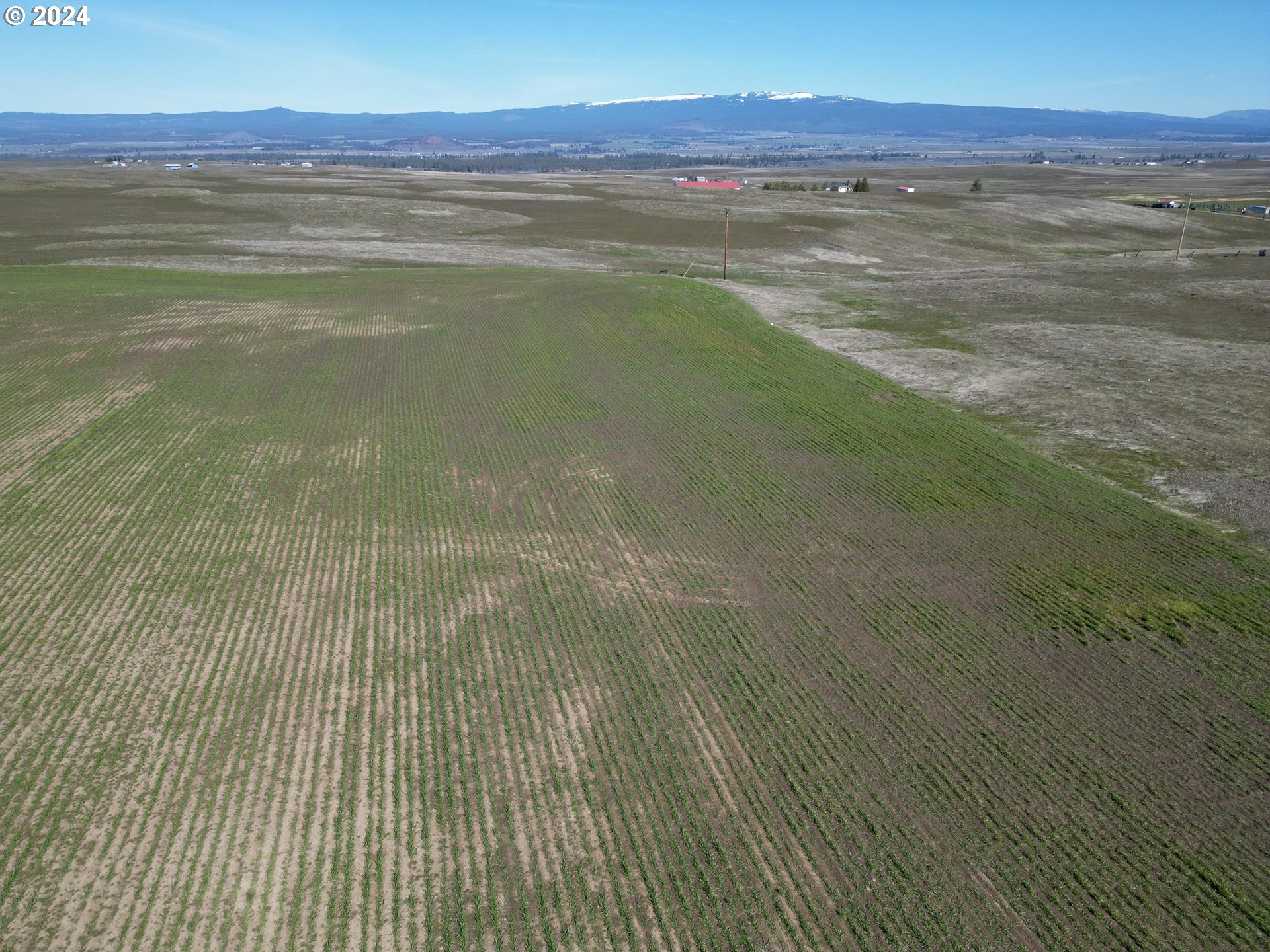 345 Erickson Road Centerville, WA 98613 - Photo 4 of 29 a view of an empty room with wooden floor