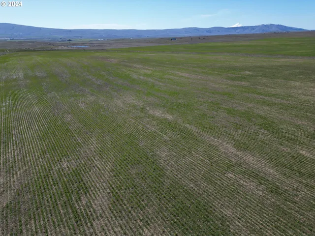 a view of an outdoor space and a yard