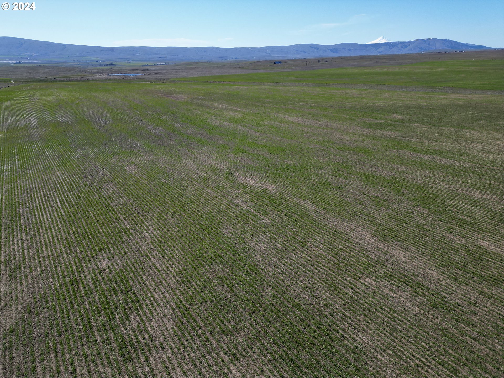345 Erickson Road Centerville, WA 98613 - Photo 5 of 29 a view of an outdoor space and a yard