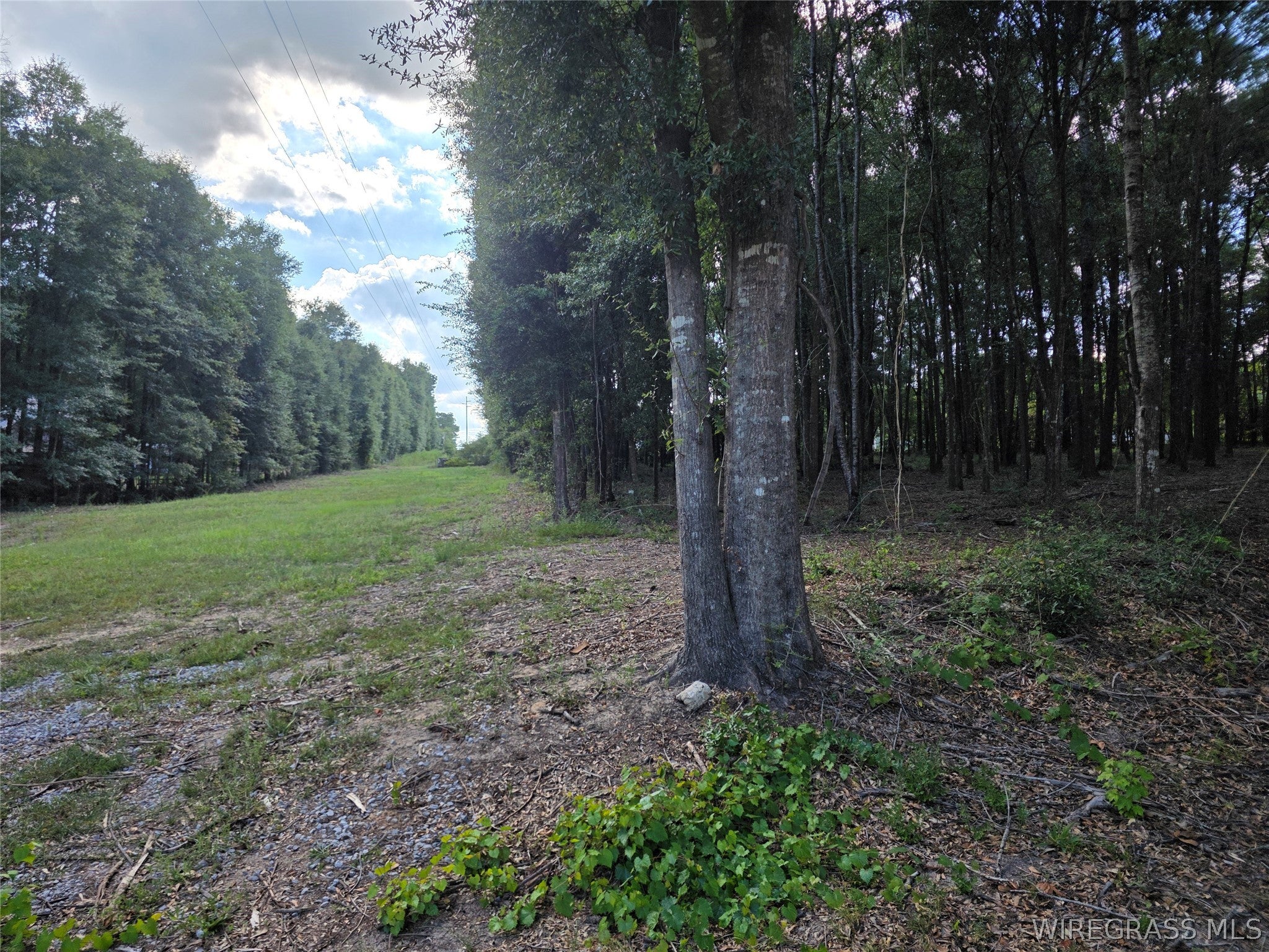 445 Deer Path Farms Road Ozark, AL 36360 - Photo 50 of 54 Gallery Image 50
