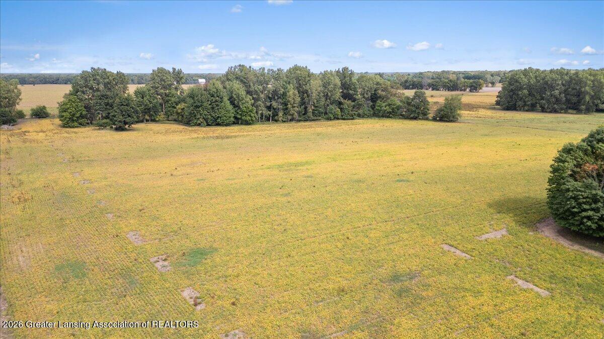 V/l West Huff Road Elsie, MI 48831 - Photo 6 of 9 15-Media Jett -13