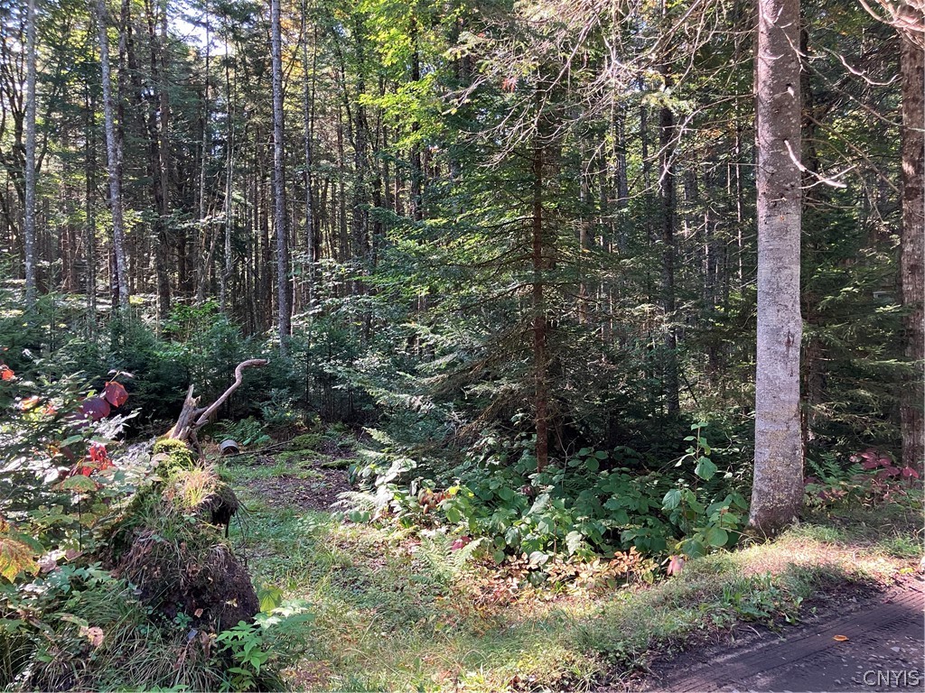 82 Stock Lane Inlet, NY 13360 - Photo 11 of 36 Fire Pit area on the property to the left side of