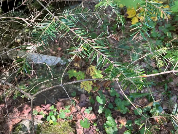 $87,500 | 82 Stock Lane, Inlet, NY 13360