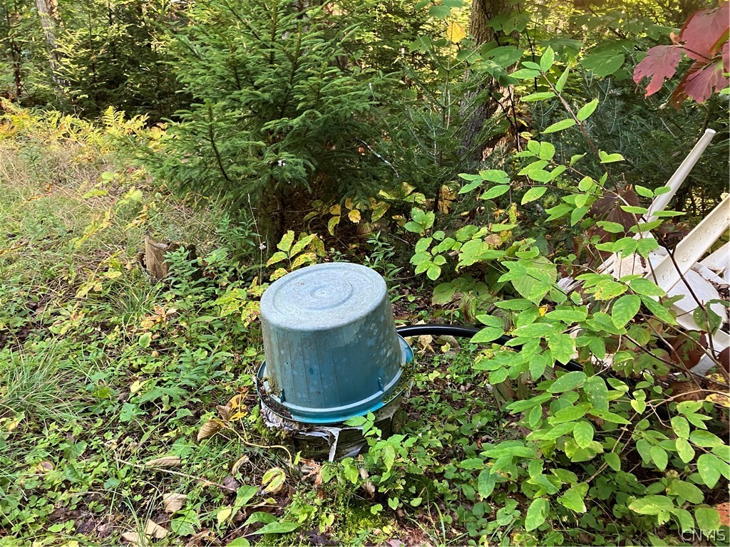 82 Stock Lane Inlet, NY 13360 - Photo 13 of 36 Dug Well