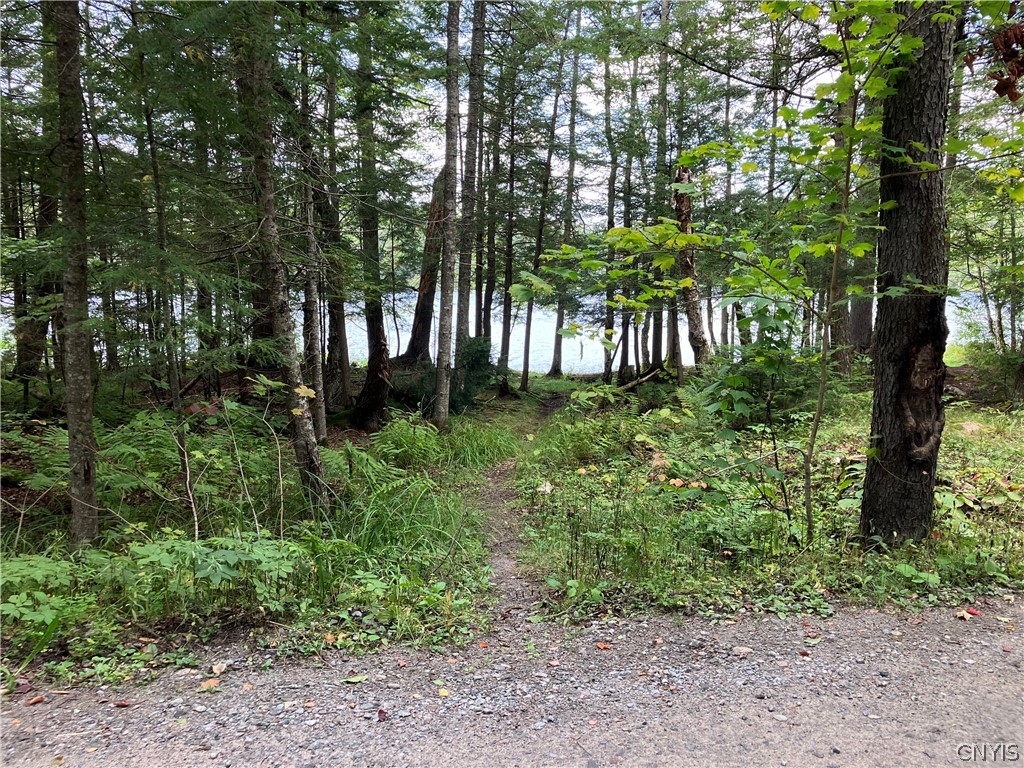 82 Stock Lane Inlet, NY 13360 - Photo 32 of 36 State entry to upper pond on Brown tract Rd