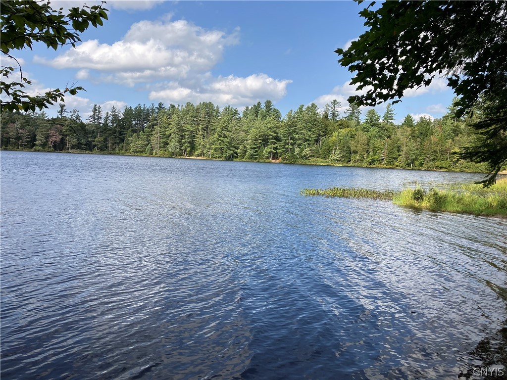 82 Stock Lane Inlet, NY 13360 - Photo 34 of 36 Pond view