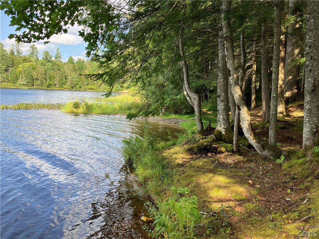 82 Stock Lane Inlet, NY 13360 - Photo 35 of 36 Pond view from state entry